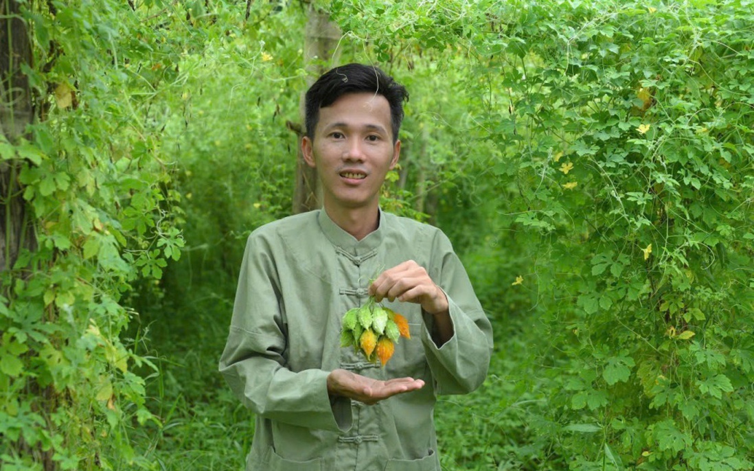 Khởi nghiệp từ dược liệu bản địa: Hướng đi bền vững cho kinh tế nông thôn Thái Nguyên