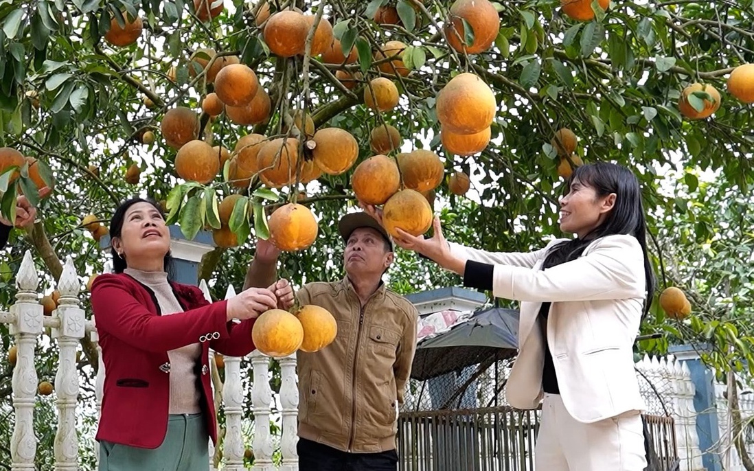 Từ chợ phiên đến siêu thị: Chặng đường mới cho sản phẩm của phụ nữ dân tộc thiểu số và miền núi