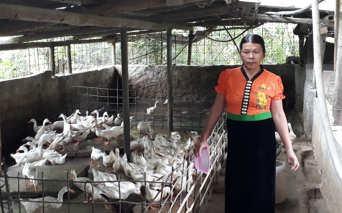 Lồng ghép giới, tạo đột phá trong giảm nghèo ở Sơn La