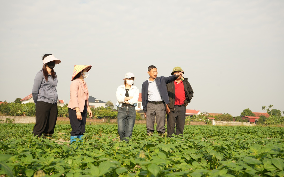 Phát huy vai trò của phụ nữ trong công tác giảm nghèo bền vững