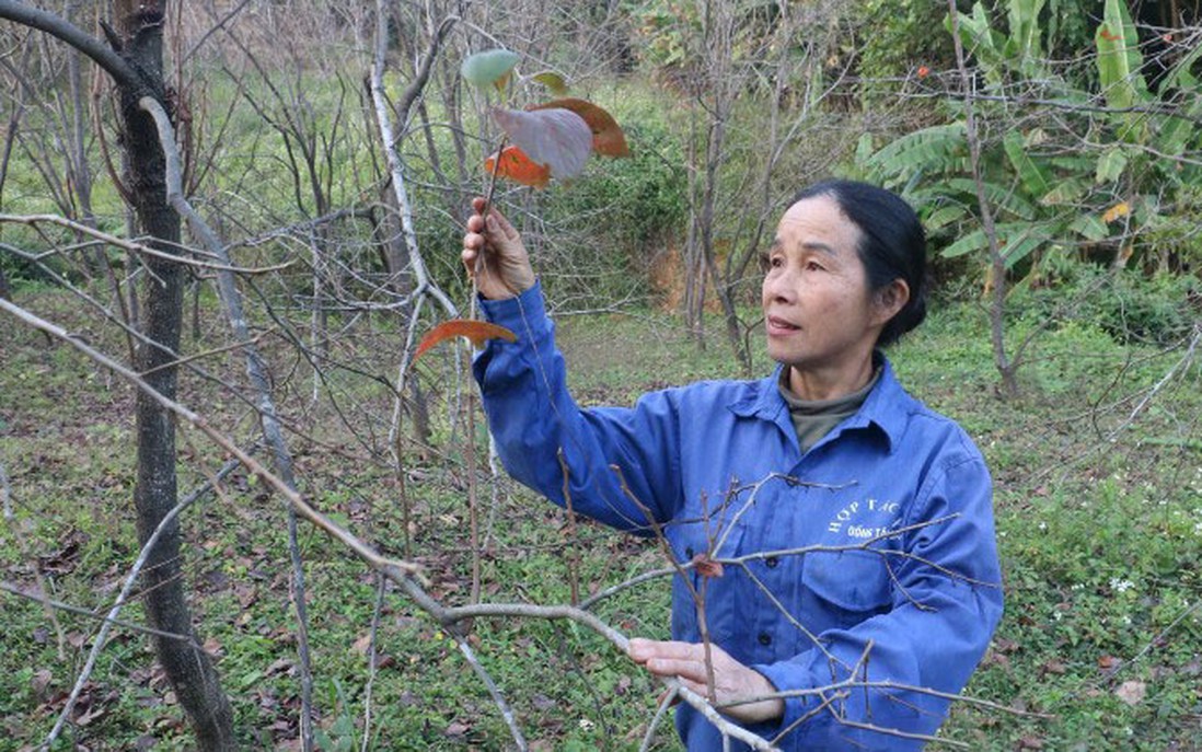 Nhiều cách làm sáng tạo, hiệu quả trong giảm nghèo ở xứ Lạng