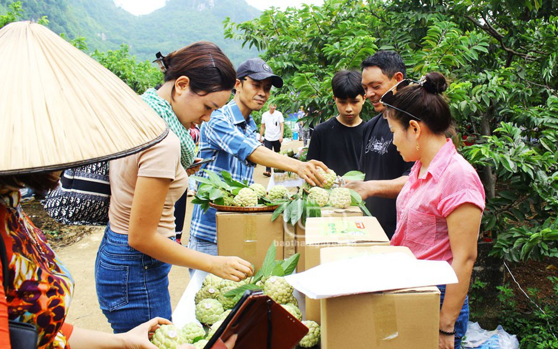 Phiên chợ thông tin: Khi chợ quê trở thành điểm truyền thông cho phụ nữ