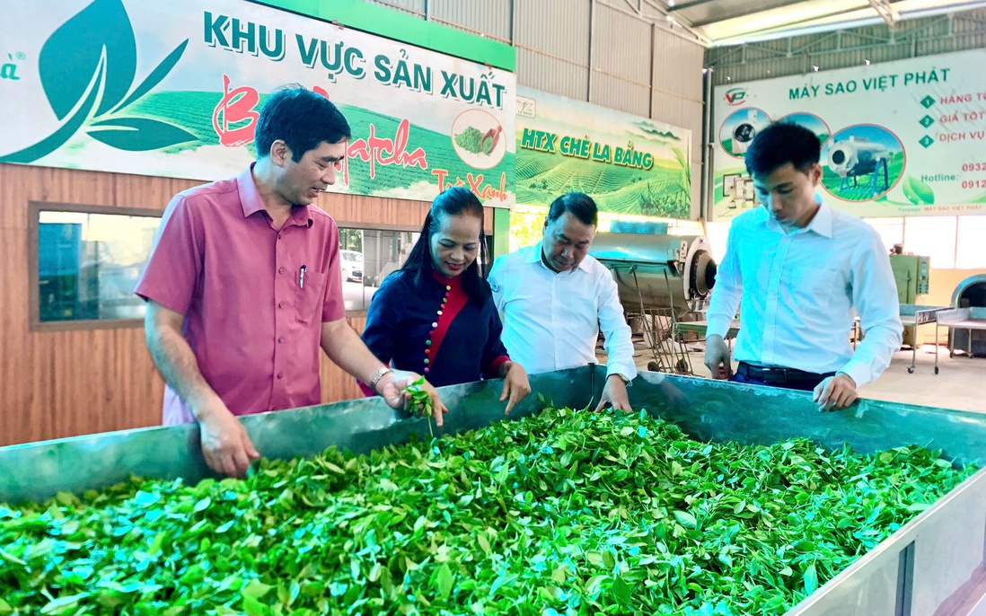 Phụ nữ "kể chuyện" nông sản đúng cách để bước ra thị trường lớn