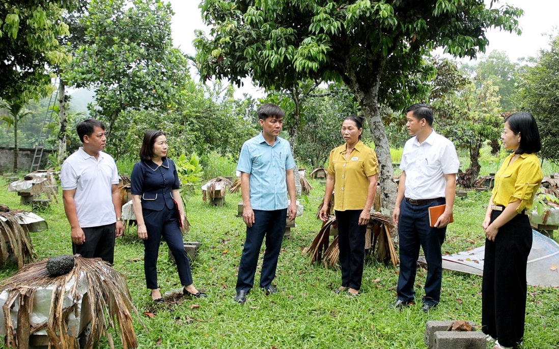 Thông tin - "chìa khóa mềm" mở cánh cửa thoát nghèo ở Thái Nguyên