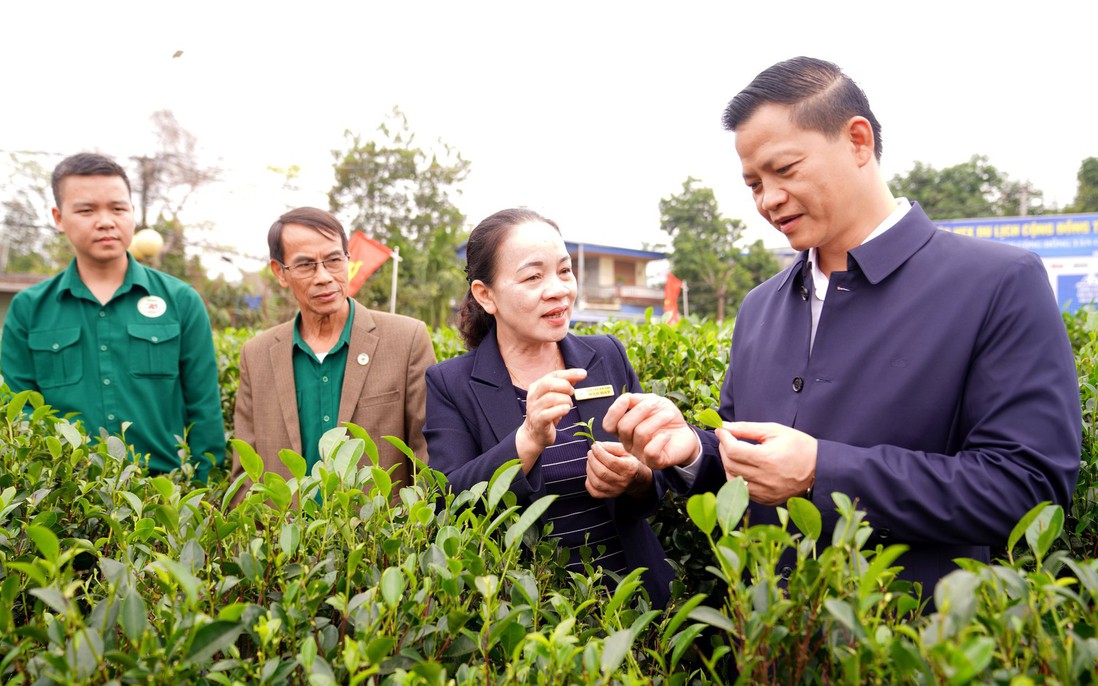 HTX chè Hảo Đạt và hành trình kể câu chuyện sản phẩm để nâng tầm giá trị nông sản