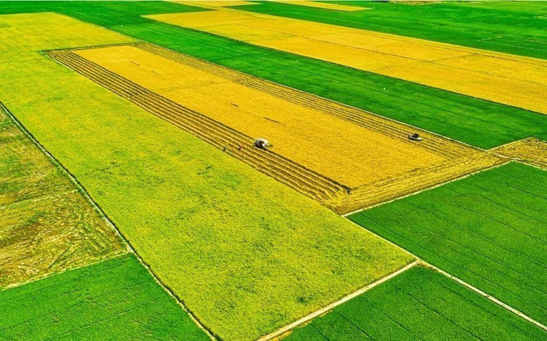 Ba Chương trình Mục tiêu Quốc gia tạo chuyển biến toàn diện vùng nông thôn