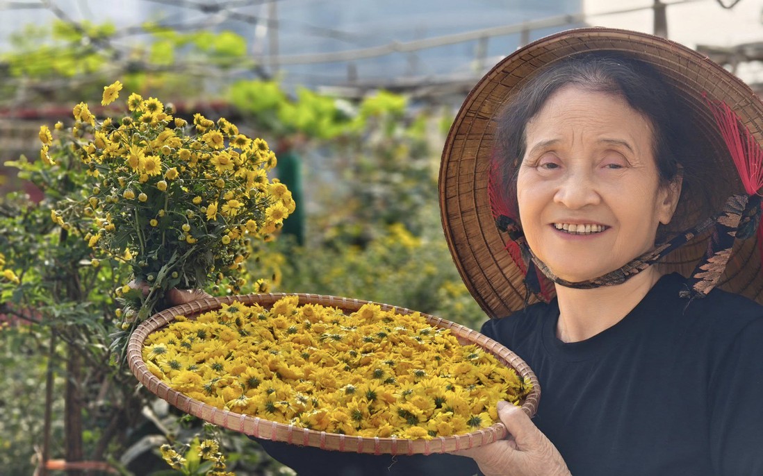 Tự làm trà hoa cúc "biếu cả họ" từ vườn trên sân thượng