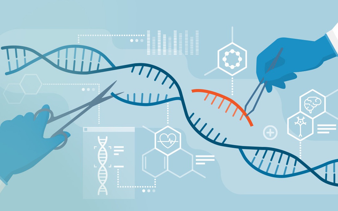 Chỉnh sửa gen giúp phòng bệnh tim