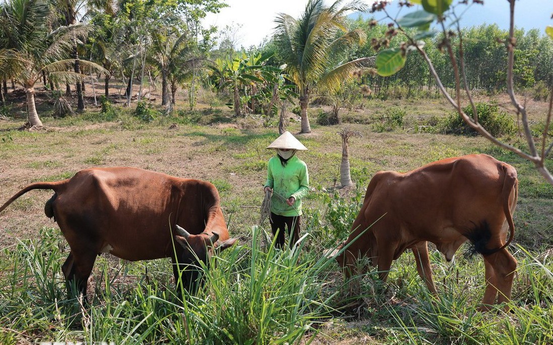 Ban hành quy định về chuẩn nghèo đa chiều quốc gia giai đoạn 2026-2030