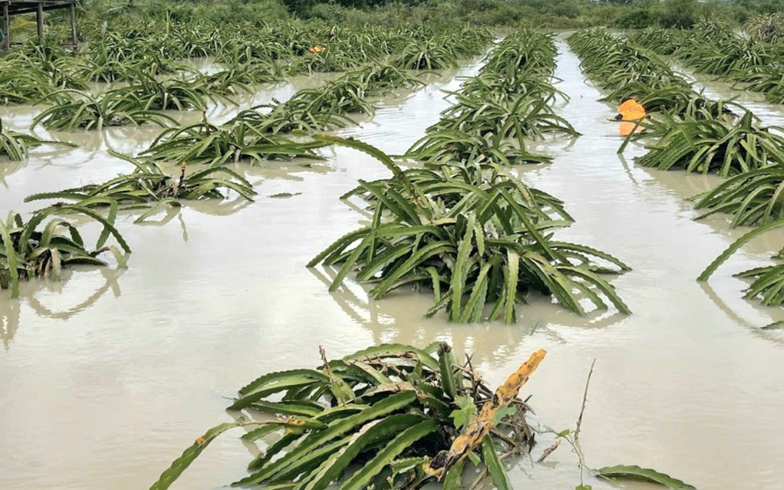 Lâm Đồng: Mưa lũ khiến 6.195 căn nhà bị ngập lụt, thiệt hại ban đầu ước tính hơn 113 tỷ đồng