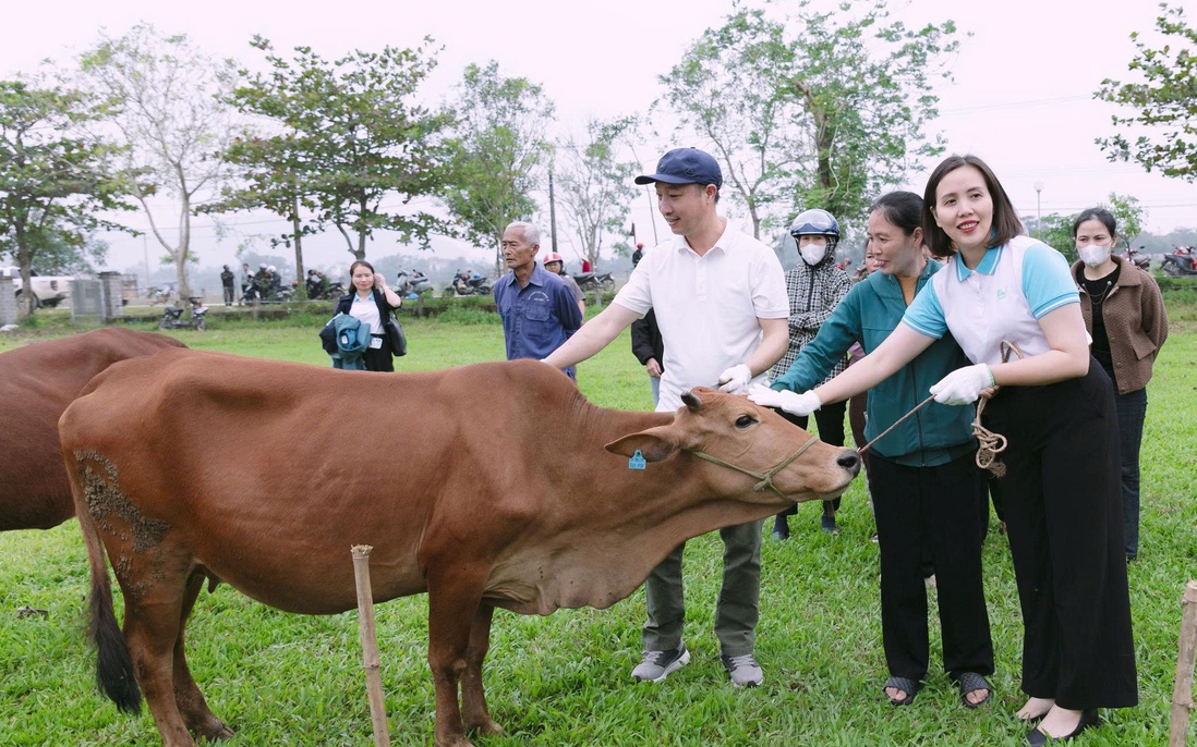 TƯ Hội LHPN Việt Nam hỗ trợ triển khai mô hình "Chăn nuôi bò lai sinh sản" cho phụ nữ khó khăn