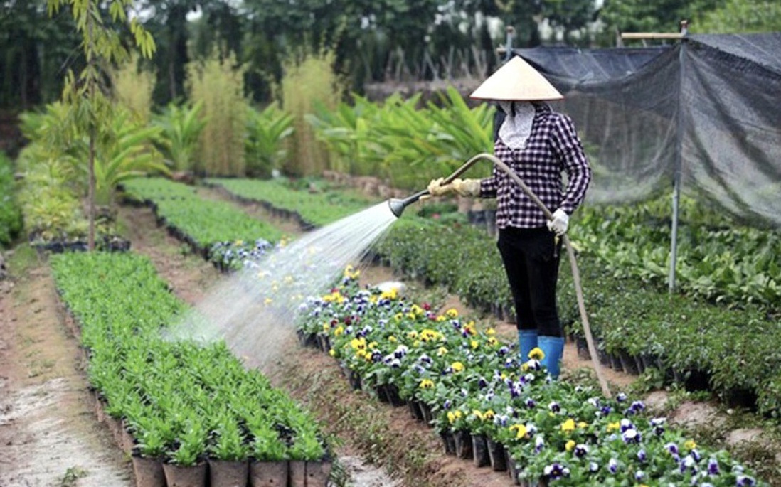 Nhiều cặp vợ chồng trẻ vùng cao rủ nhau "hạ sơn" đi làm ăn xa