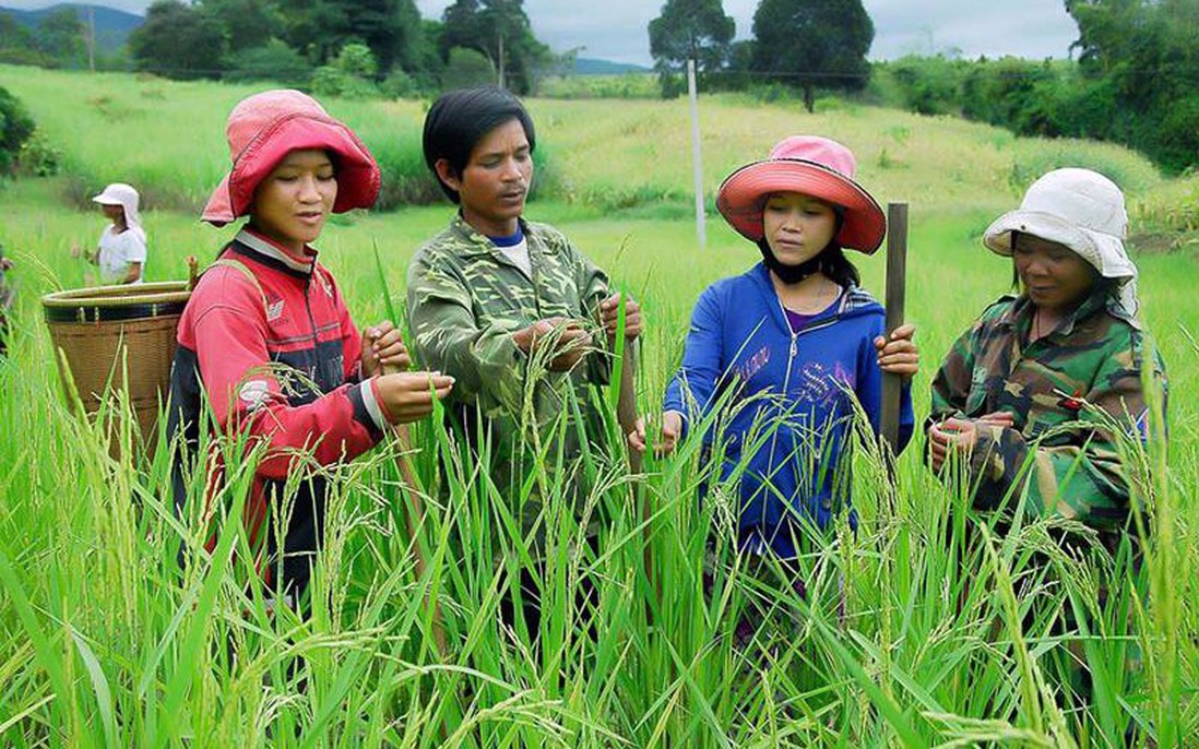 Sửa đổi, bổ sung một số điều của Nghị định 07 quy định chuẩn nghèo đa chiều giai đoạn 2021 - 2025