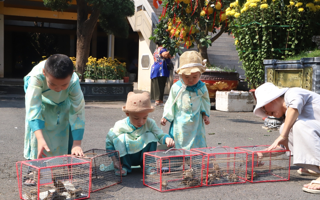 Đầu năm, mẹ đưa con đi chùa, thả chim phóng sinh mong các con biết hướng thiện