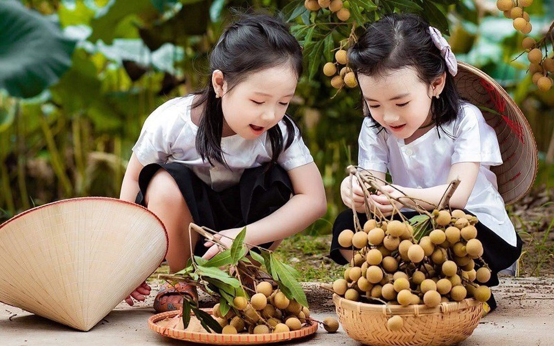 "Tình đất phù sa": Khúc trữ tình sâu đậm về quê hương đất nước