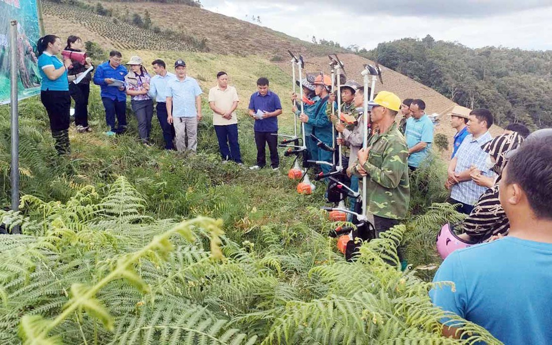 Tỏa Tình - vựa cà phê trên đỉnh đèo Pha Đin