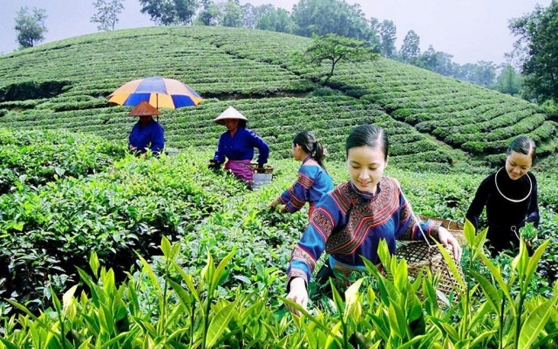 Lào Cai: Nhiều giải pháp giảm nghèo ở vùng "lõi nghèo"