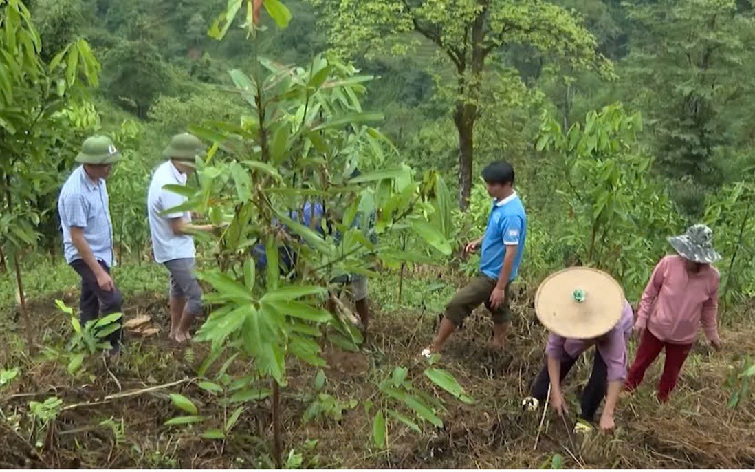 Lai Châu: Nỗ lực nâng cao nhận thức, kỹ năng cho người Mảng thoát nghèo