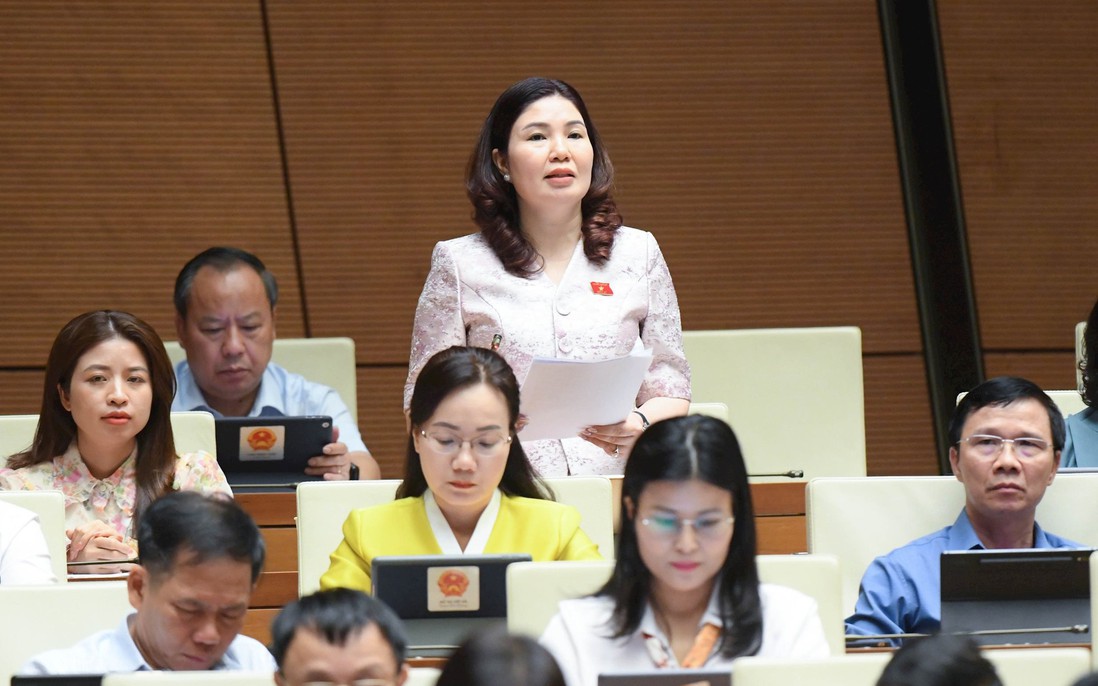 Đại biểu Quốc hội chỉ ra "kẽ hở" để doanh nghiệp gian dối trong vụ 600 nhãn sữa giả