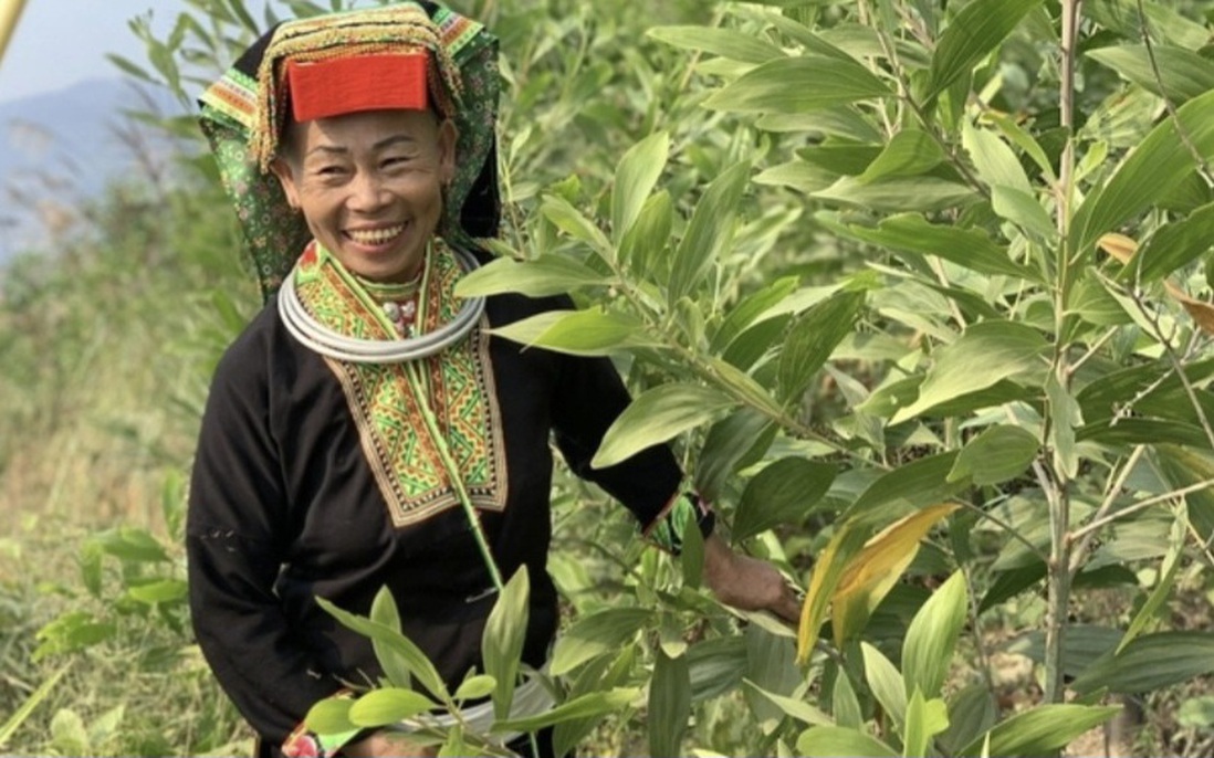 "Tiếp sức" cho hành trình thoát nghèo ở Lạng Sơn
