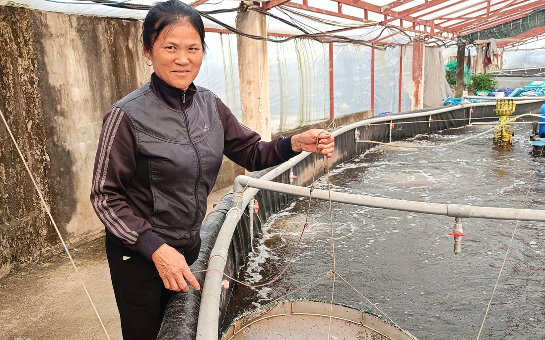 Tiếp cận kiến thức quản trị kinh doanh, công nghệ số để làm giàu từ đầm tôm