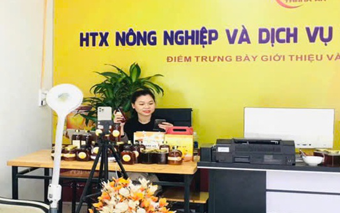 Phụ nữ Hòa Bình tích cực hưởng ứng phong trào "Bình dân học vụ số"