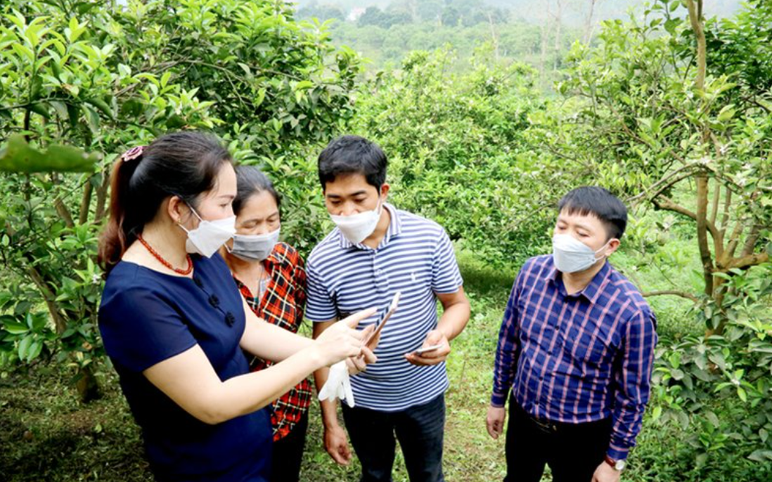 Hà Giang: Thúc đẩy chuyển đổi số góp phần thoát nghèo