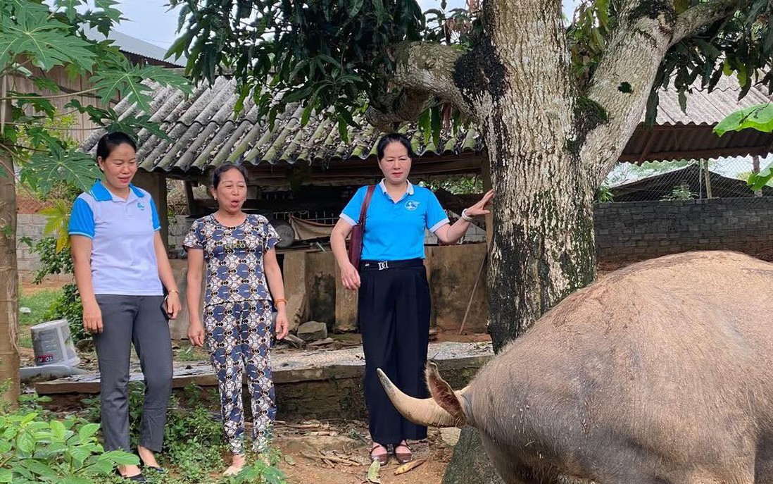 Lào Cai: Hội LHPN huyện Bảo Thắng làm tốt mô hình "Tổ tiết kiệm và vay vốn"