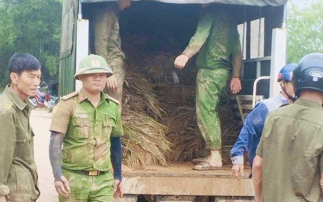 Xúc động hình ảnh chiến sĩ Công an lấm lem bùn đất giúp người dân thu hoạch lúa sau lũ