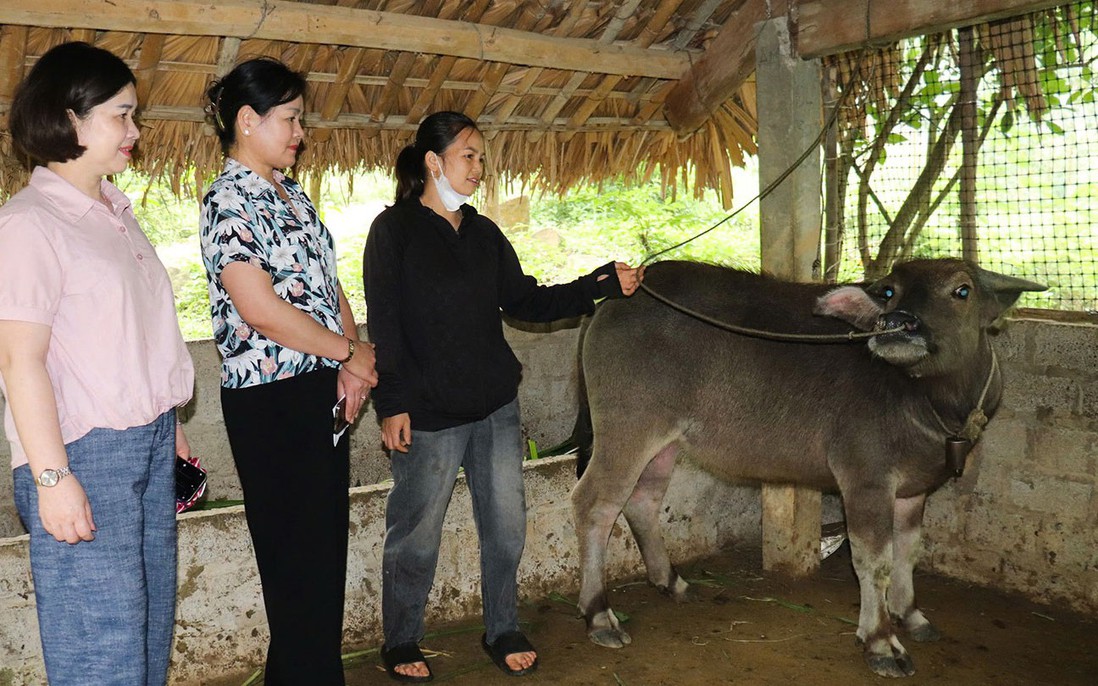 Đa dạng hóa các mô hình giảm nghèo toàn diện