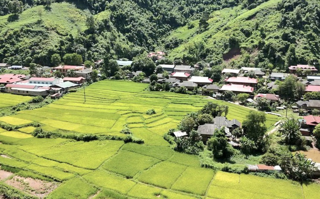 Điện Biên: Chuyển đổi cơ cấu cây trồng thay đổi bộ mặt xã vùng khó