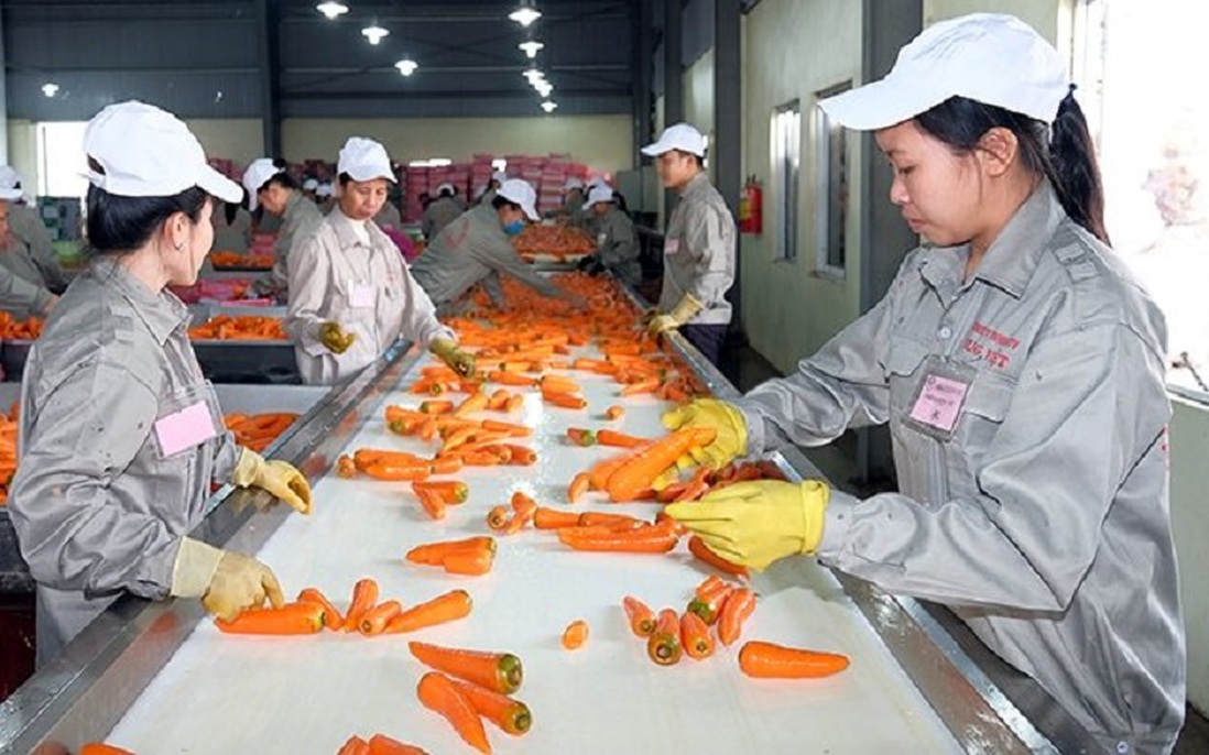 Chủ động triển khai các biện pháp bảo đảm sản xuất, chế biến, tiêu thụ và xuất khẩu nông sản