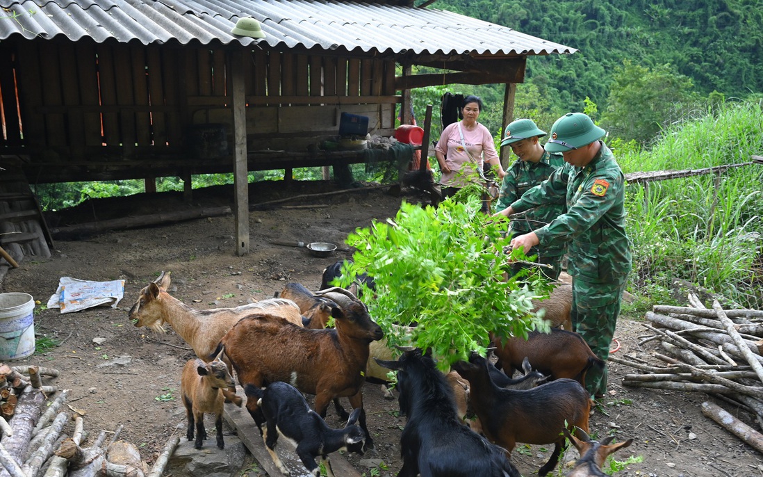 Tạo mạng lưới hỗ trợ hiệu quả, toàn diện cho người dân