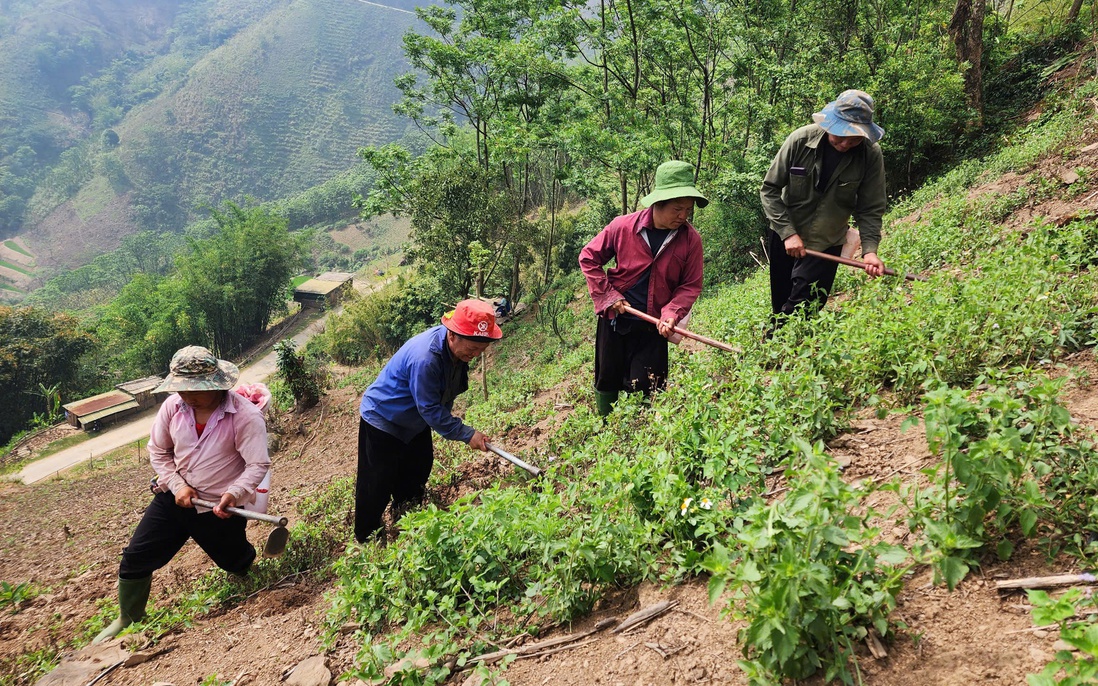 Điện Biên: Khai giảng 8 lớp đào tạo nghề, mở ra cơ hội việc làm cho 280 học viên