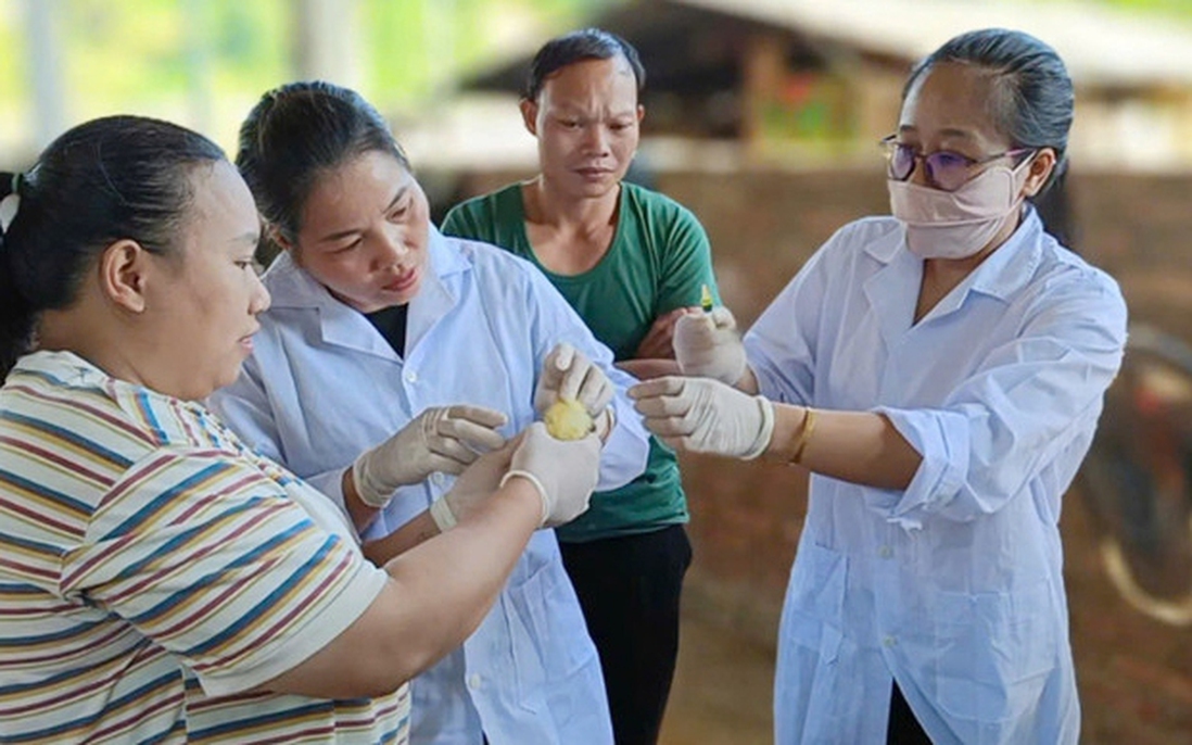 Bắc Kạn: Đẩy mạnh đào tạo nghề và giải quyết việc làm cho người dân tộc thiểu số