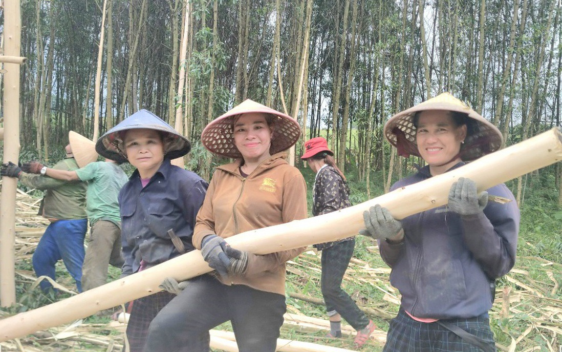 Nữ "phu keo" giữa đại ngàn xứ Nghệ