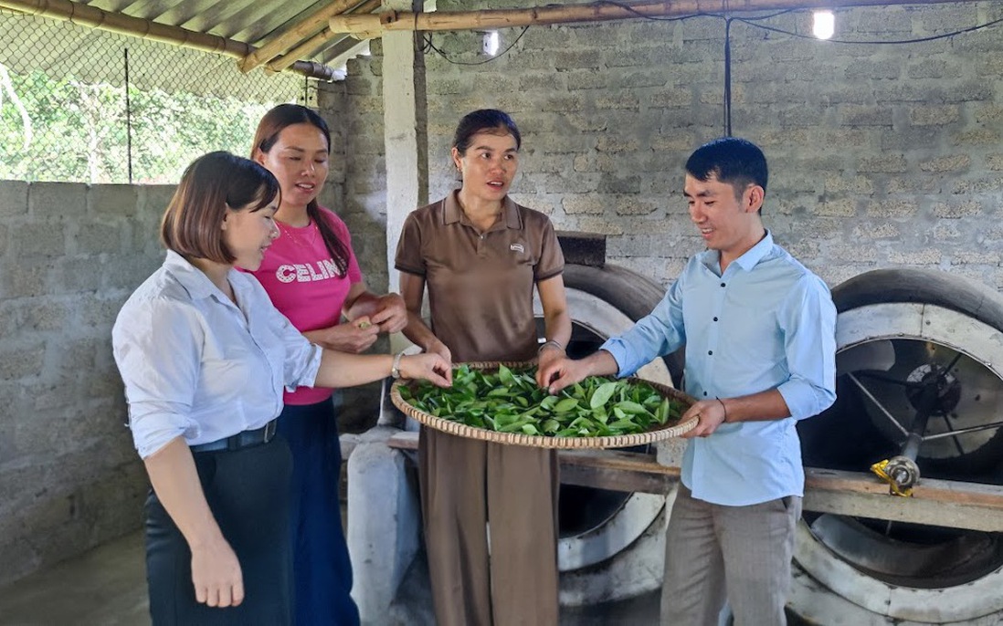 Tạo "lá chắn" bảo vệ phụ nữ trên không gian mạng