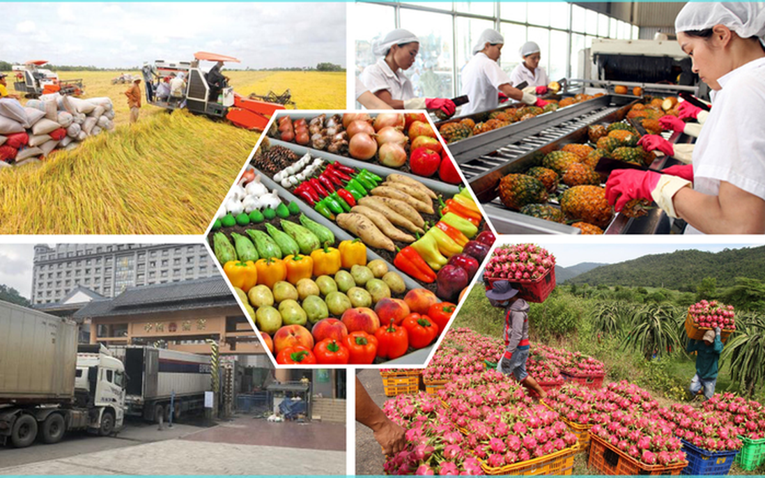 Bảo đảm sản xuất, tiêu thụ, xuất khẩu nông lâm thủy sản trong bối cảnh biến động thương mại toàn cầu