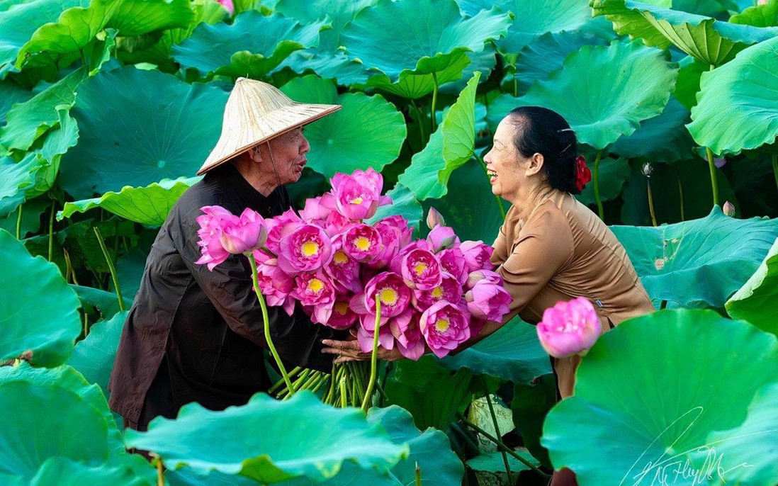 Truyện ngắn: Màu hoa rực rỡ