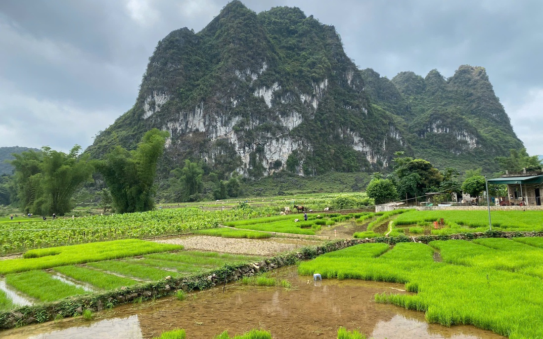 Phụ nữ Cao Bằng thay đổi phương thức sản xuất nông nghiệp để thoát nghèo