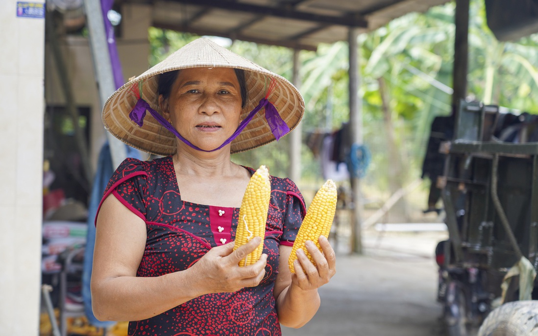 Phụ nữ miền sơn cước chạm đến ước mơ thoát nghèo