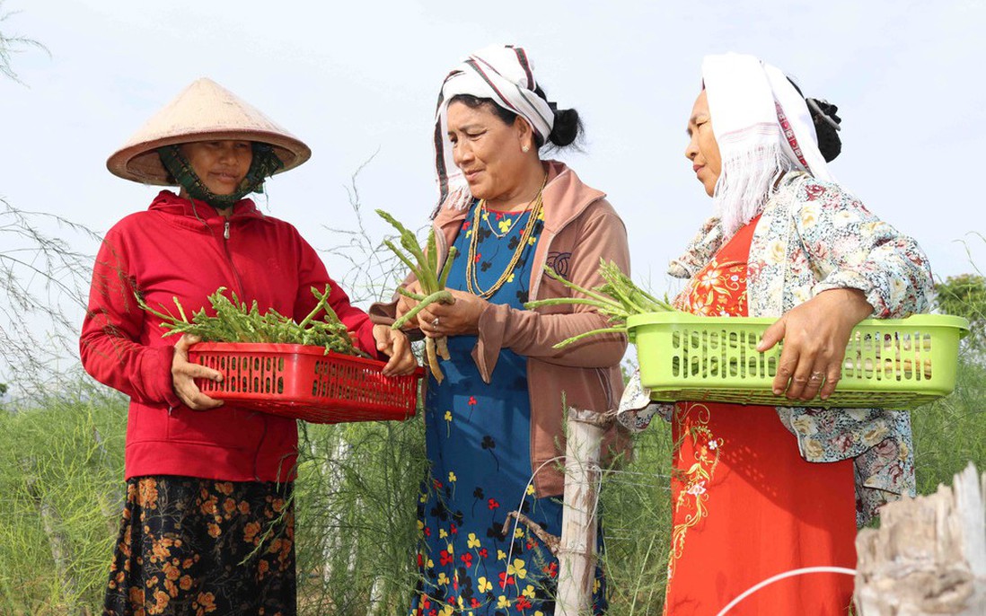Bình Dương: Sôi nổi các câu lạc bộ dành cho phụ nữ và trẻ em dân tộc thiểu số