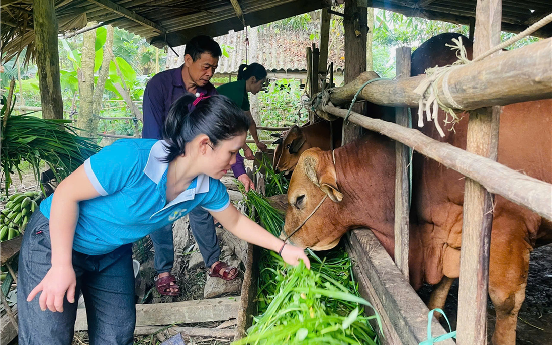 Khi "nếp nghĩ cũ" được thay thế bởi "cách làm mới"