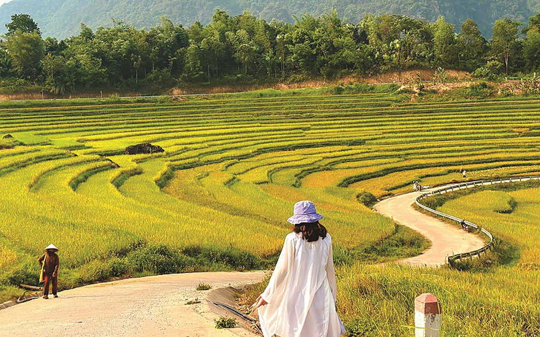 Về cùng miền lúa thênh thang