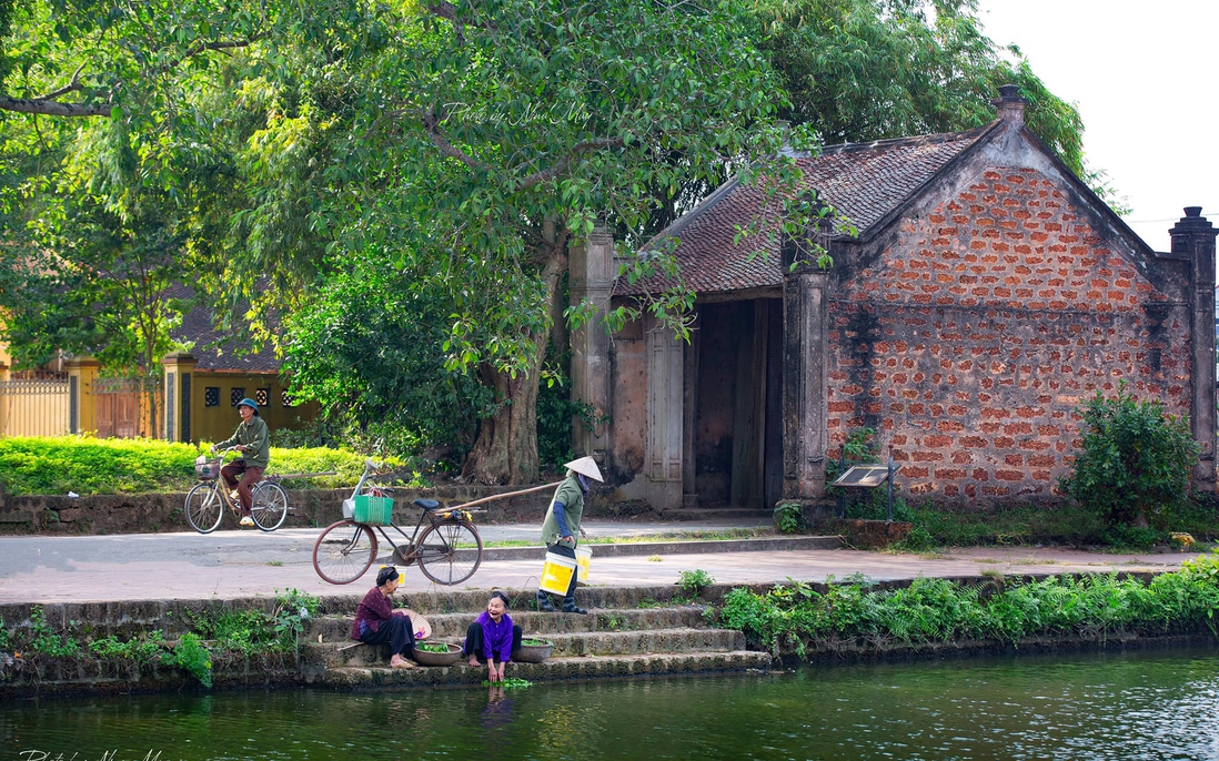 Thổn thức hai tiếng "quê nhà"