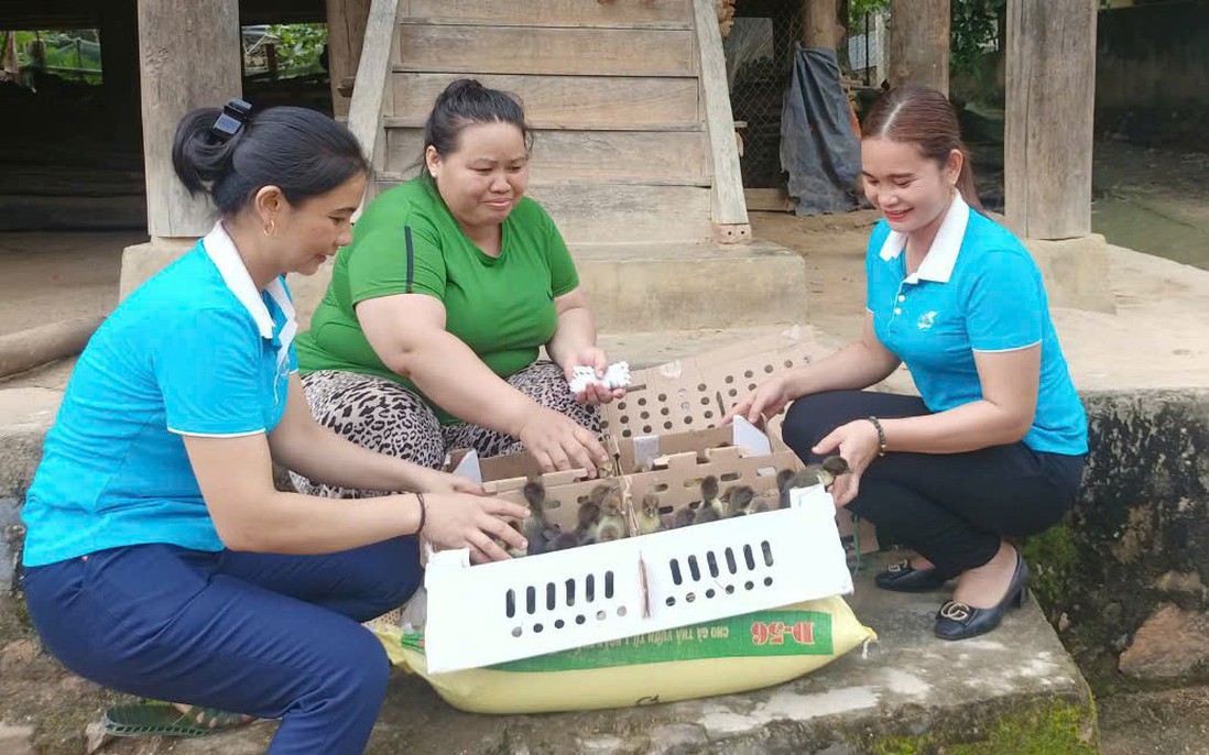 Kiến tạo cuộc sống tốt đẹp hơn cho phụ nữ vùng cao Kỳ Sơn