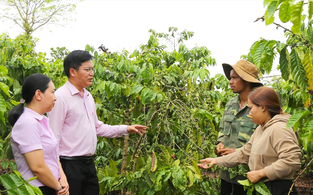 Đắk Nông: Giảm nghèo hiệu quả ở vùng dân tộc thiểu số nhờ các giải pháp đồng bộ