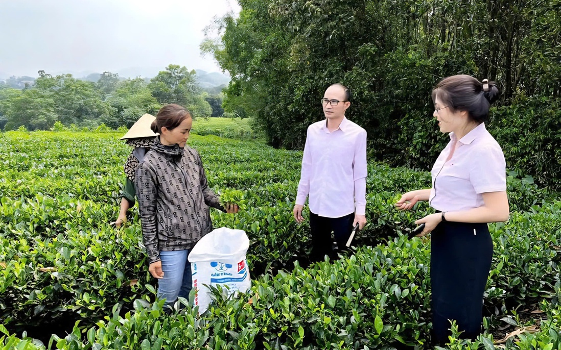 "Cú hích" thay đổi diện mạo cho vùng đất trung du