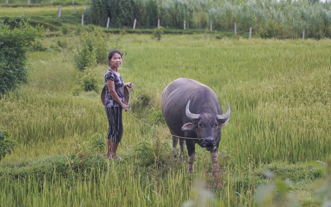Phủ sóng thông tin, tiếp sức hộ nghèo vươn lên thoát nghèo bền vững