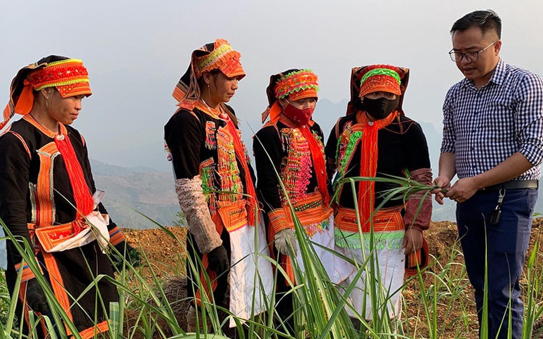 Chương trình Giảm nghèo và Nông thôn mới: Thu hẹp khoảng cách vùng miền, thúc đẩy phát triển khu vực nông thôn